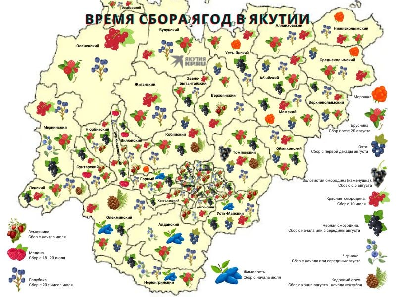 Карта сбора ягод в московской области