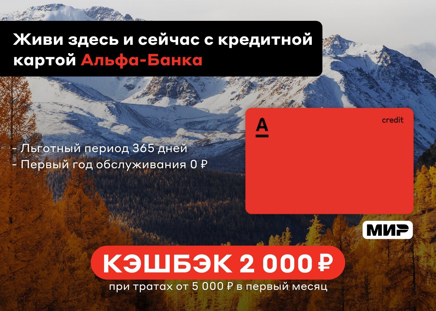 Альфа карта 365 дней