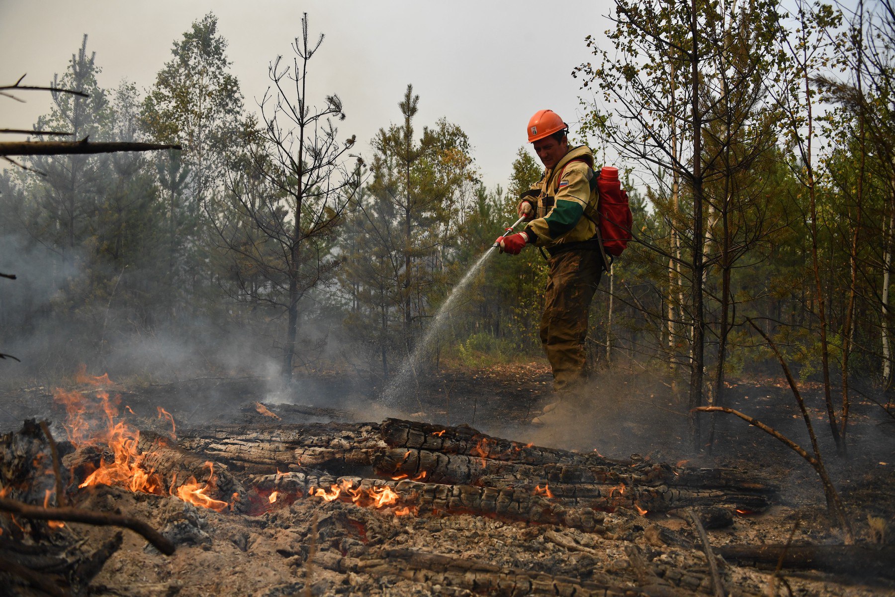 Почему горят пожары. Тушение лесных пожаров Рязанской области. Пожар леса. Лесные пожарные. Лес в огне.