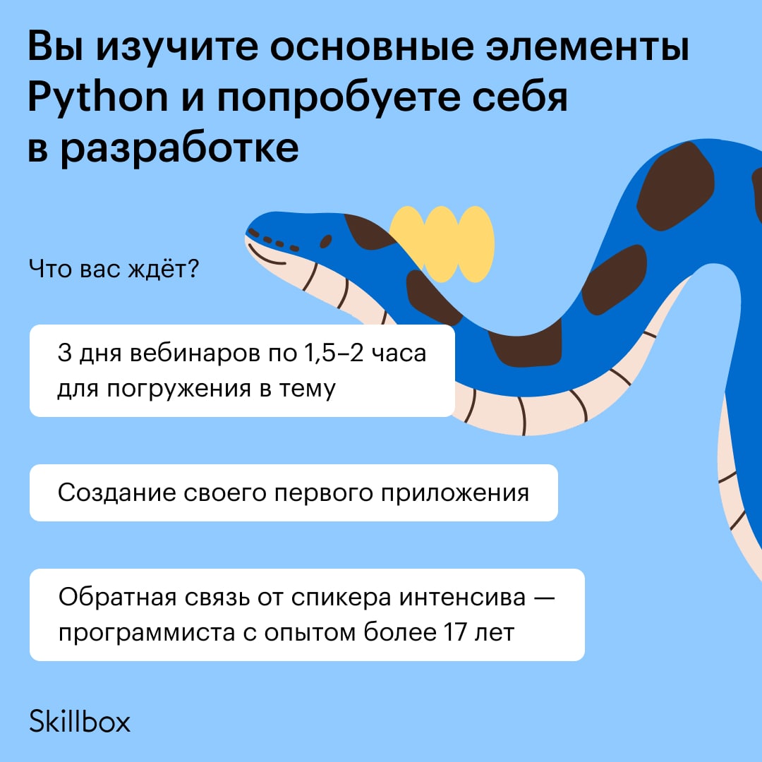 Мессенджер на python. Skillbox Python. Как выучить Python за 5 секунд.