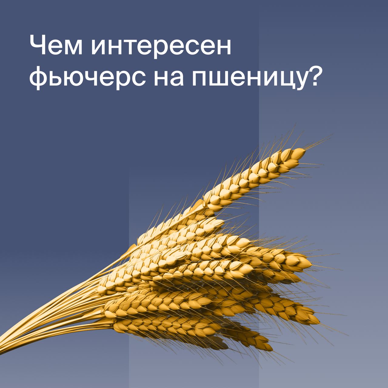 Пшеницы индекс. Сказка колосок. Украинская сказка колосок. Колосок украинская народная сказка картинки. Перспективы сельского хозяйства.