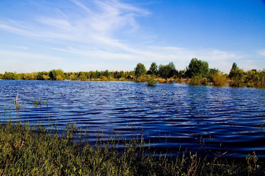 Вода и водные объекты. Астраханская область. Водные объекты. Водные ресурсы Астраханской области. Водные объекты Волги.