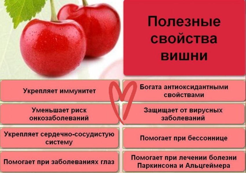 Витамины в черешне. Вишня полезные свойства. Для чего полезна вишня. Характеристика вишни. Чем полезна вишня для организма.