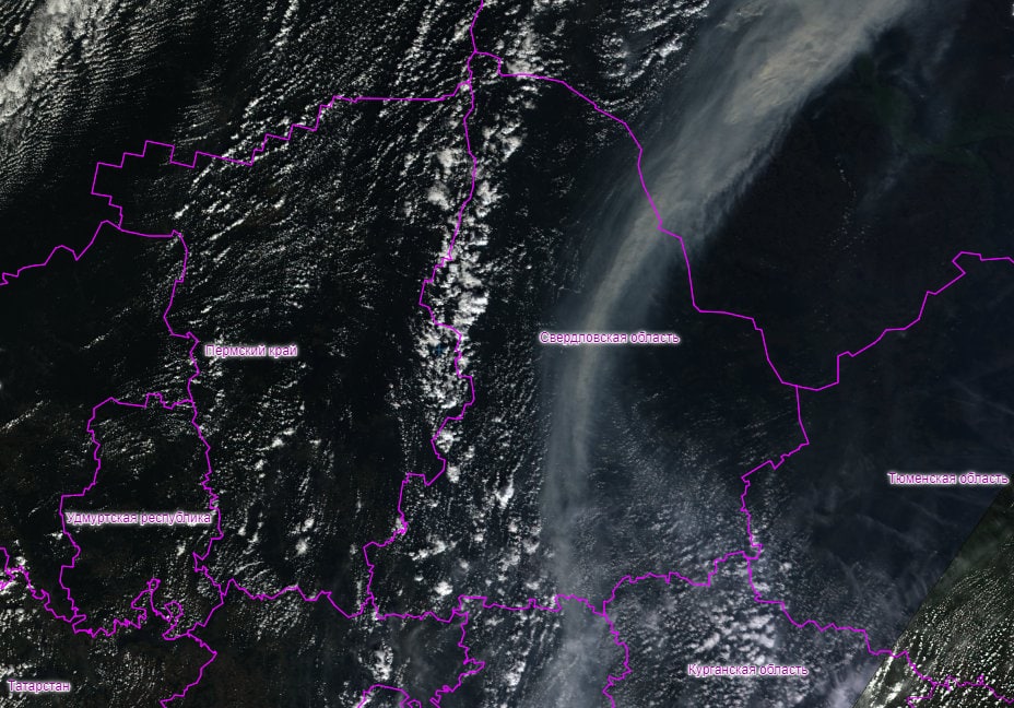 Дым от лесных пожаров карта