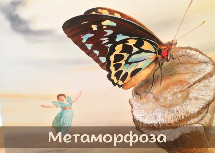 Метаморфозы курсы