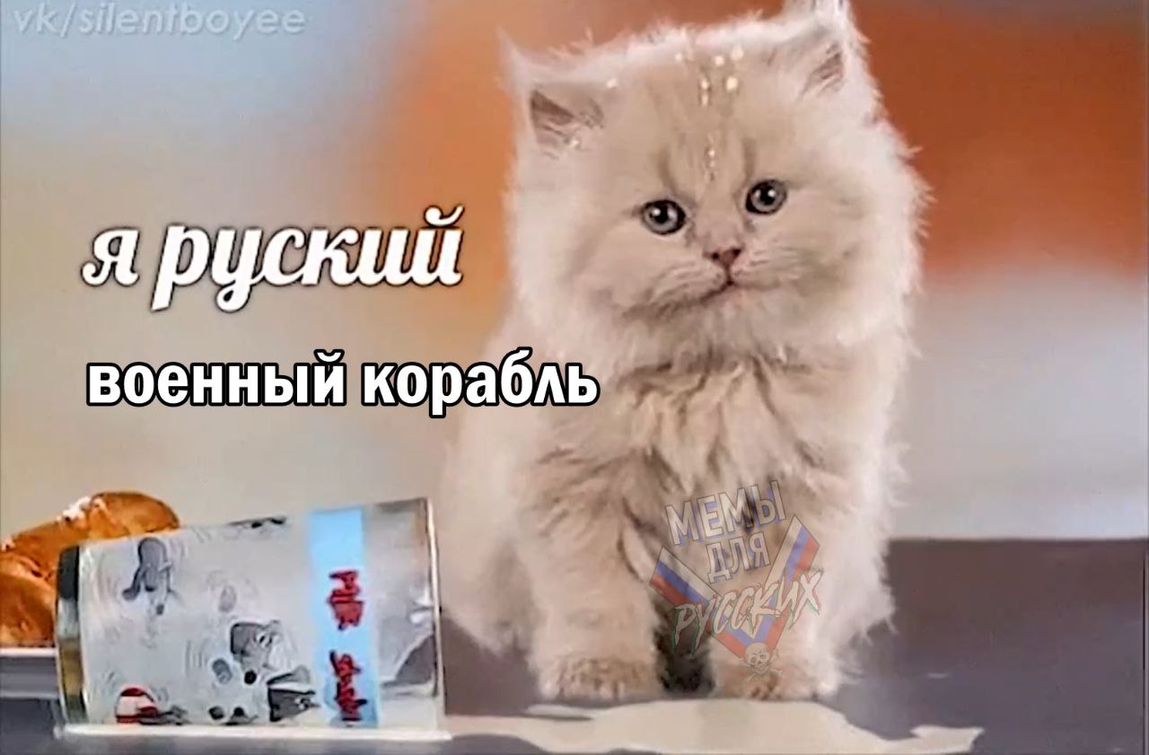 Я русский кот