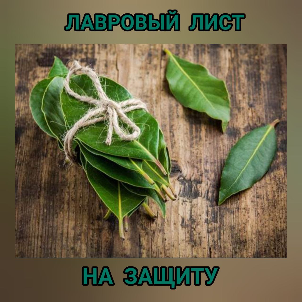 Защита листа