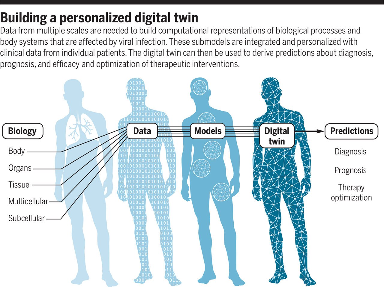 Цифровой двойник. Digital Twin. Digital Twins в медицине. Gemini Digital Twin. Digital Twin trends.