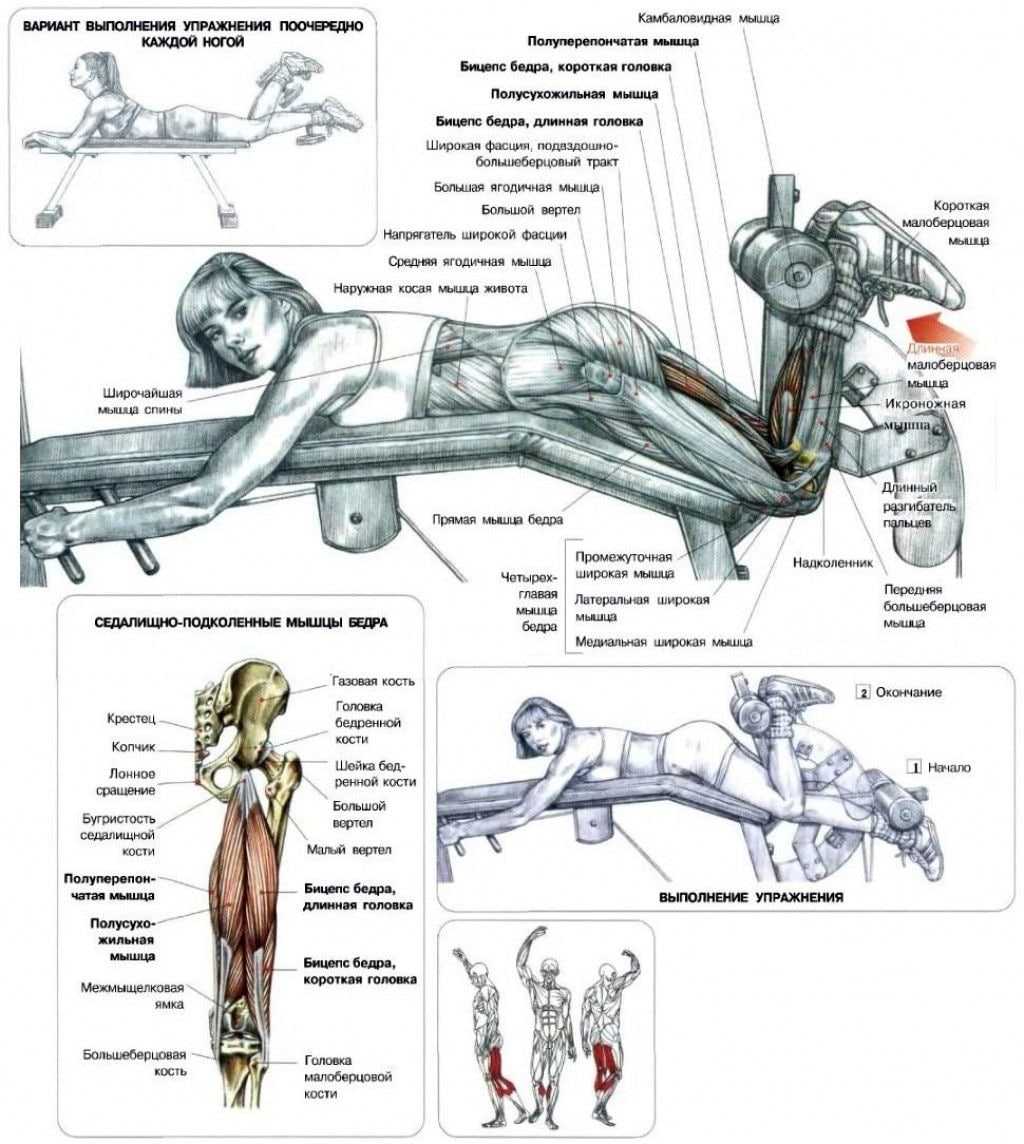 Правильное выполнение силовых упражнений. Как правильно выполнять упражнения на тренажерах. Правильные техники выполнения упражнений в тренажерном зале. Схема упражнений на силовом тренажере. Тренировка ноги в тренажерном зале схема.