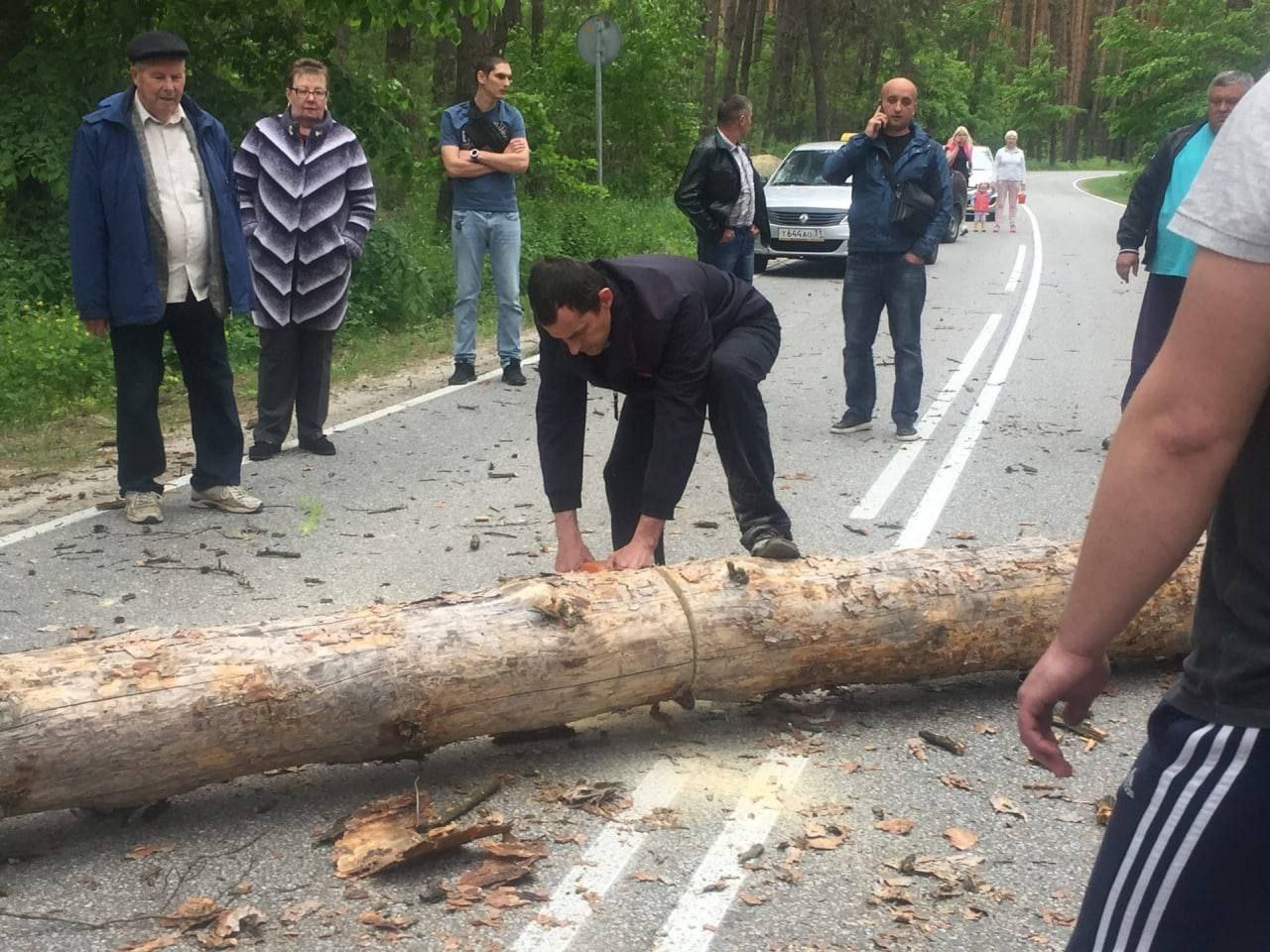 Дерево упало на машину на Соколе Белгород