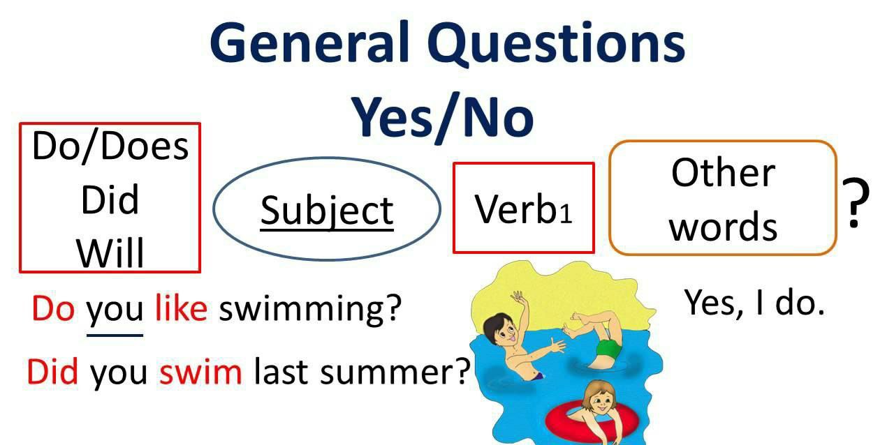 Where do you swim. General questions. Генеральный вопрос в английском. General вопрос в английском. Types of questions in English таблица.