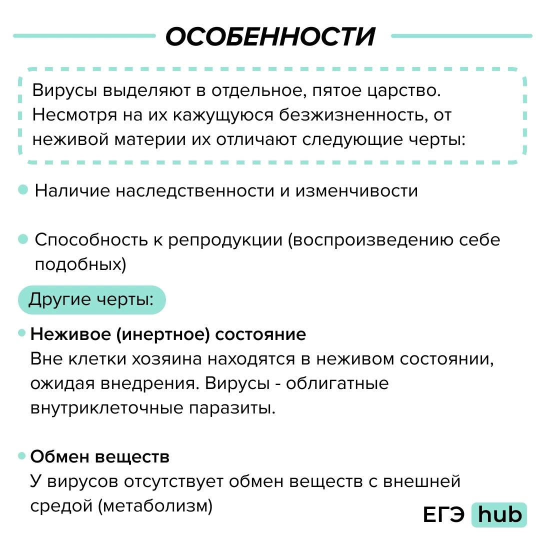 Телеграмм с вирусами для андроид фото 33